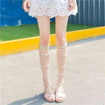 十大体育外围平台网址